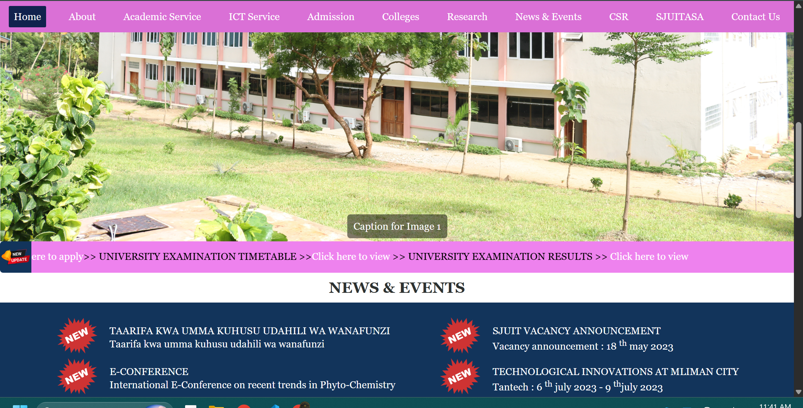 Organization Website